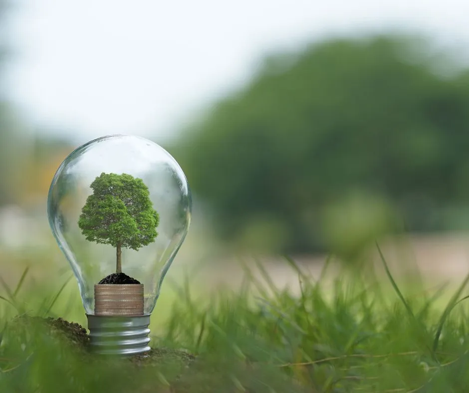 A small tree growing inside a glass light bulb on the grass