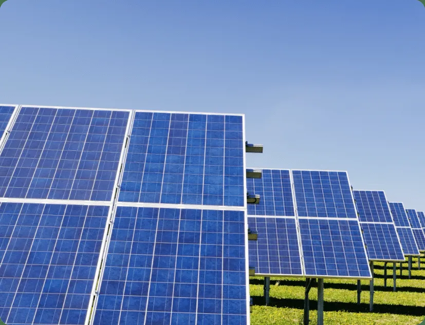 Rows of blue solar panels in a green field