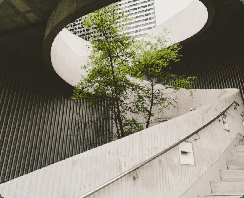 A tree growing in the light-filled atrium of a modern building